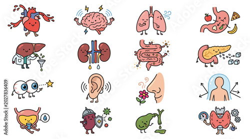 Cute cartoon human organs set with heart, brain, lungs, kidneys, stomach, liver, intestine and senses icons isolated on white background