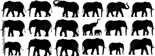 Photography Multiple black elephant silhouettes including baby elephants with elephant, silh
