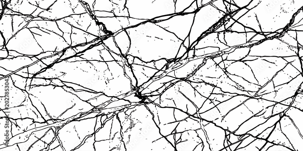 Obraz premium Abstract White Marble Vein Texture with Fine Black Cracks and Luxury Stone Background Design.