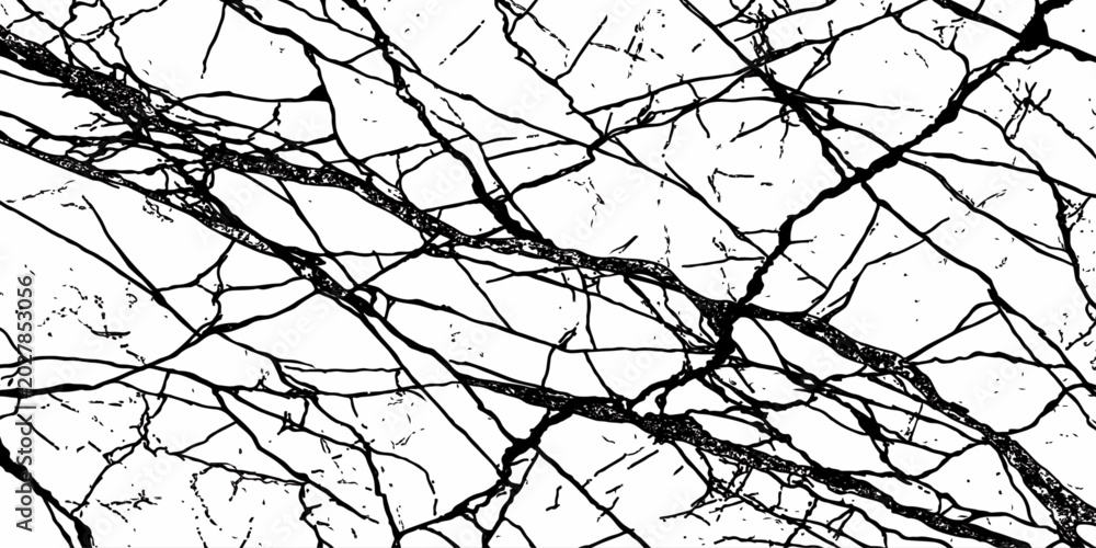 Fototapeta premium Abstract Tree Branch Shadow Texture Background with Black Ink Line Artistic Pattern Design.
