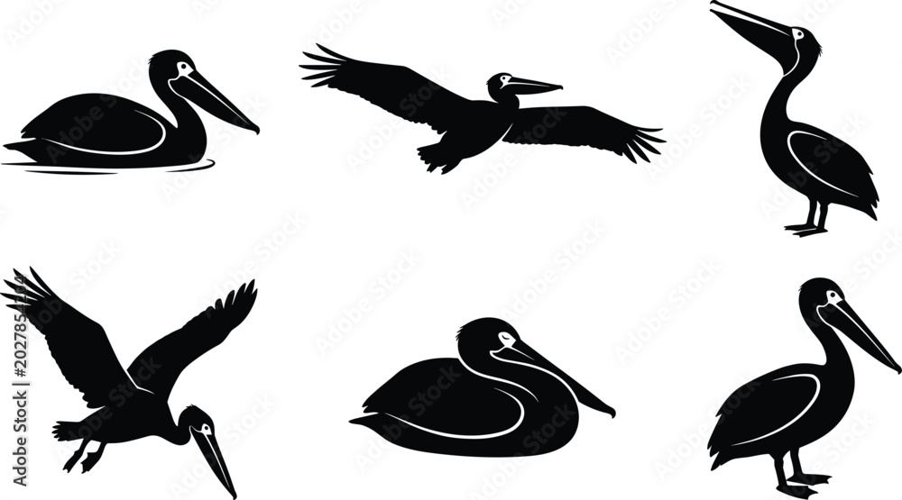 Fototapeta premium Pelican Bird Silhouette Collection Featuring Flying and Standing Coastal Wildlife Shapes for Nature, Marine, and Animal Design Projects