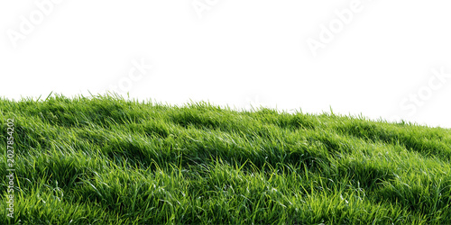 green grass field isolated on white transparent background - design element cut-out object