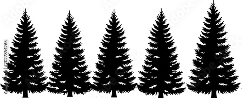 Obraz na płótnie Row of evergreen tree silhouettes arranged side by side, showcasing natural tria