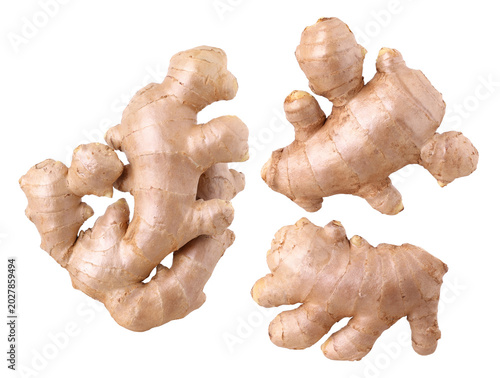 Fresh ginger rhizome isolated, transparent PNG
