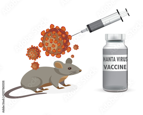 Hantavirus Vaccine Research Illustration with Mouse Carrier and Medical Syringe Vector