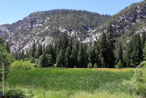 Zumwalt Meadow in the summer at Kings Canyon in the Sierra Nevada mountains of California