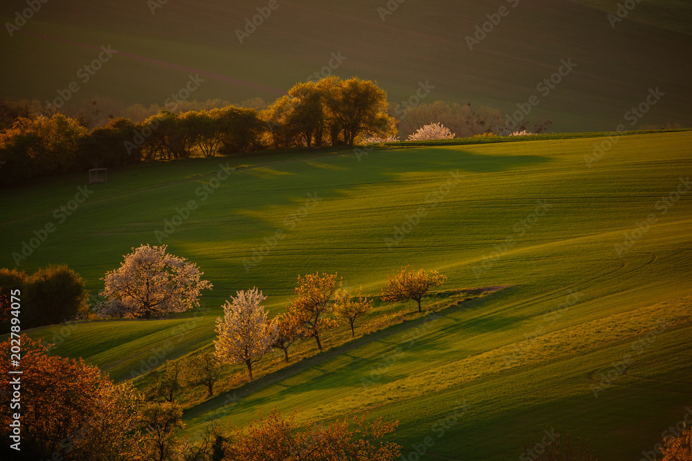 Fototapeta premium Gorgeous rural landscape with green sunny spring hills. South Moravia region, Czech Republic
