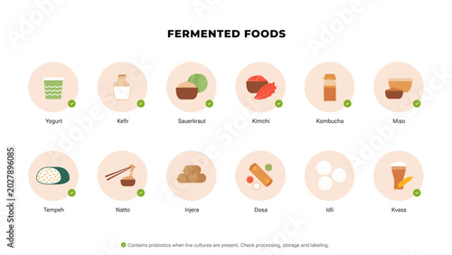 Fermented foods types infographic. Flat vector illustration of probiotic nutrition. Yogurt, kefir, kombucha, kimchi, miso, tempeh and kvass icons isolated on white background. Gut health diet.