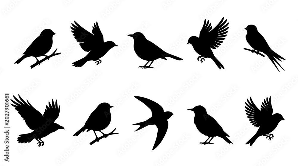 Fototapeta premium Bird silhouette set with flying and perched small birds, vector style for nature icons, background patterns, and wildlife designs