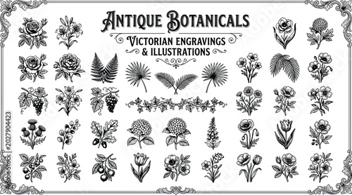 Bild auf Leinwand Black and white hand drawn retro floral graphics sheet with roses tulips grapes