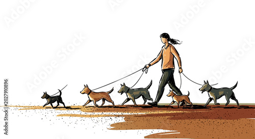 Woman Walking Multiple Dogs on Leashes.