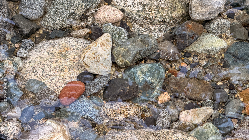 Φωτογραφία Colorful wet river rocks and pebbles in Lynn Canyon creek, Vancouver