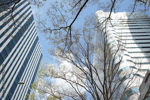 Upward view of two modern glass office towers with vertical and curved facades, framed by leafless tree branches against a blue sky