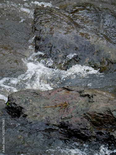 Фотография River flowing between rocks yarra river
