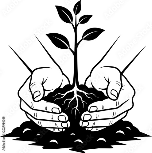 Hands gently cradling a young plant with roots and soil, symbolizing growth and new beginnings