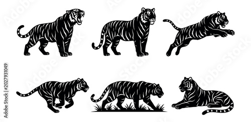 Tiger Silhouettes Set – Standing, Walking, Prowling, Leaping, Crouching & Resting Poses Vector