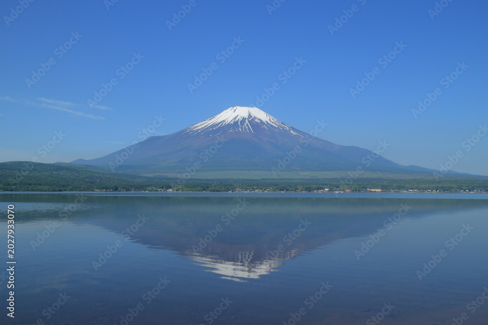 Fototapeta premium 逆さ富士 山中湖 青 空 背景