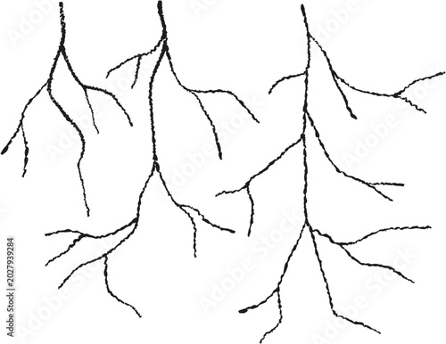 Monochrome pattern of cracks, lightning bolts, abstract  tree branches or root systems