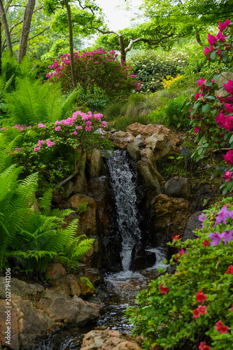 Obraz na plátně Beautiful flower garden with a waterfall in the foreground and ferns