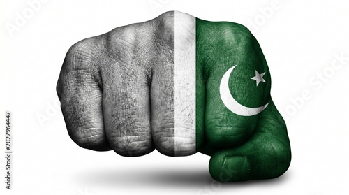 Pakistan flag painted fist, national symbol, protest concept, green and white colors