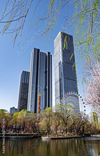 Changchun, China: Apricot Blossoms Amidst Skyscrapers and Amusement Park Scenery