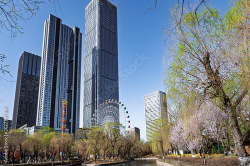 Changchun, China: Apricot Blossoms Amidst Skyscrapers and Amusement Park Scenery