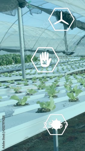 Vertical video: Hand hex appearing as AR showing CO, sun data while hydro rows filling, monitoring