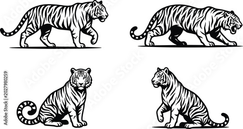 Fotografia Tiger black and white vector illustration set walking stalking sitting poses iso