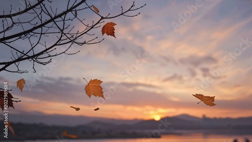 Foto genuineness