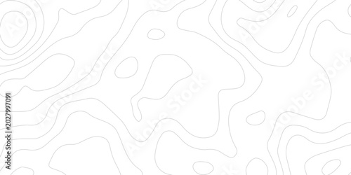 Tableau sur toile Detailed Geographic Mountain Relief Diagram with Smooth Curved Topographic Contour Lines and Organic Terrain Structure