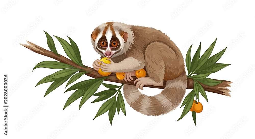 Naklejka premium Lemur Holding Palm Frond in Natural Habitat with Tropical Leaves and Fruits