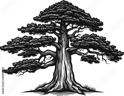 Detailed Black Bonsai Tree Illustration Standing on Clean White Background