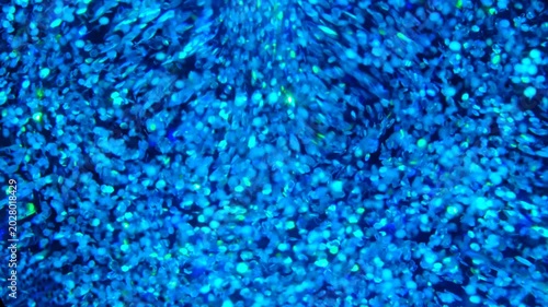 holographic Iridescent glitter particles background, showcasing a distinct shimmering texture with rainbow-colored light
