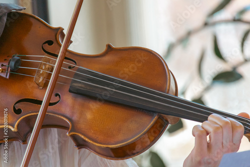 Bild auf Leinwand The hand of a violinist