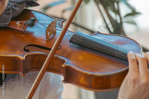 Canvastavla The hand of a violinist