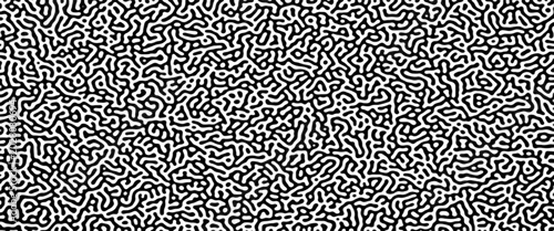 Tableau sur toile Turing reaction diffusion monochrome seamless pattern with chaotic motion