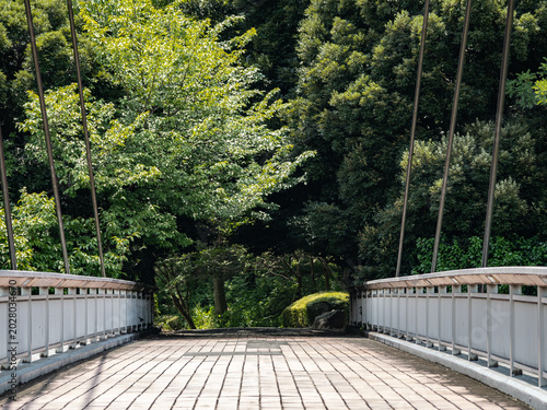 Quadro su tela 歩道に掛かるつり橋とその向こうに見える緑の森