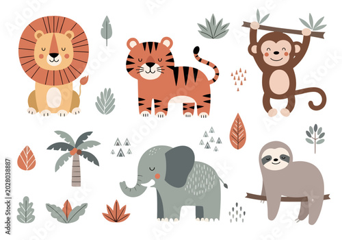 Photography Playful jungle friends designed with minimalistic details and charming colorful