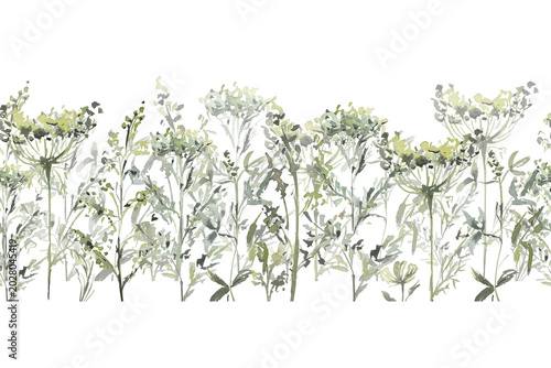 Botanical plants, grass, eco, watercolor illustration