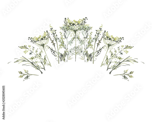 Botanical plants, grass, eco, watercolor illustration