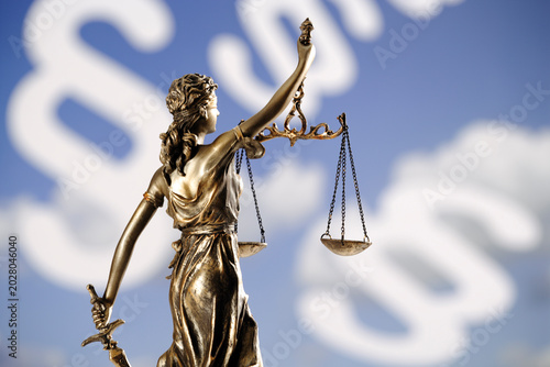 Justitia figurine in front of paragraphes, rear view, close-up