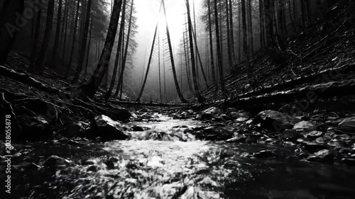 Black and white view of a creek flowing through a dark forest with light shining in the background