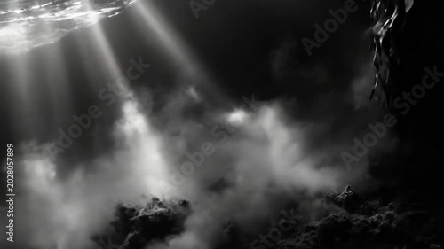 Black and white underwater scene with sunlight streaming through waves illuminating the ocean floor.