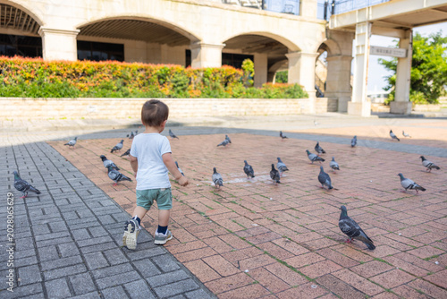 Young boy chasing flock of gray pigeons on brick courtyard path