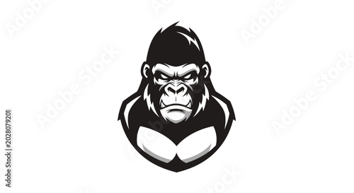 Photography Black and white gorilla head portrait.