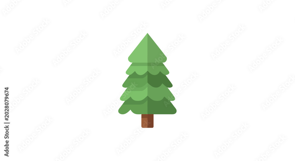 Obraz premium Green Pine Tree Evergreen Plant.