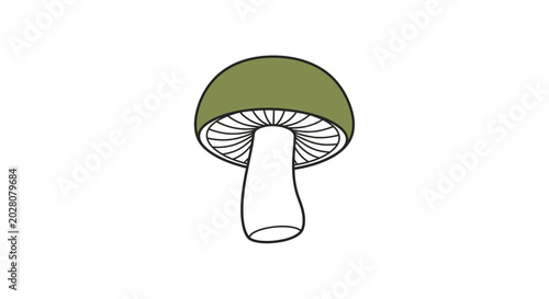 Tableau sur toile Green Mushroom with White Stem.