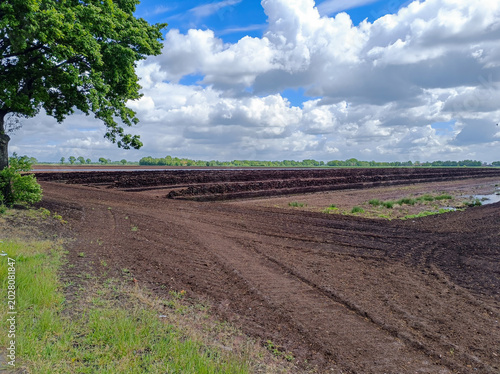 Torfabstich im Moor in Norddeutschland