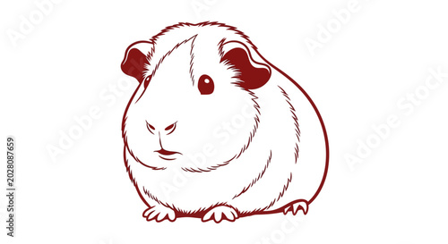 Foto Cute white guinea pig animal.