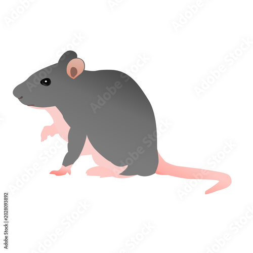 Cute gray rat side profile illustration showing pink tail and paws, ideal for pet, science, education, and design projects. Clean vector clipart on white background with simple, friendly styling.